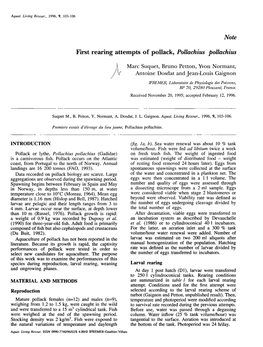 First Rearing Attempts of Pollack, Pollachius Pollachius