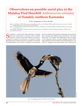 Observations on Possible Social Play in the Malabar Pied Hornbill Anthracoceros Coronatus at Dandeli, Northern Karnataka