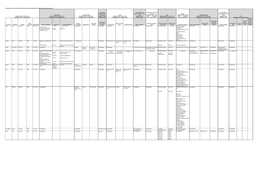 Summary of Councillors, Chief Executive and Nominated Officers Initial Personal Interest Returns