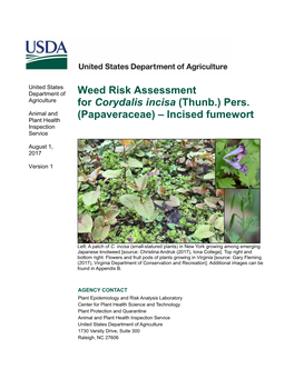 Weed Risk Assessment for Corydalis Incisa (Thunb.) Pers. (Papaveraceae) – Incised Fumewort