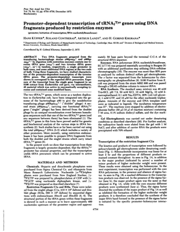 Promoter-Dependent Transcription Oftrnaityr Genes Using DNA