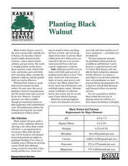 L731 Planting Black Walnut