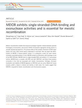 MEIOB Exhibits Single-Stranded DNA-Binding and Exonuclease Activities and Is Essential for Meiotic Recombination