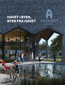 Havet I Byen, Byen Fra Havet Foto: Vill Urbanisme Foto