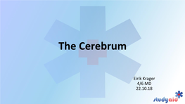 The Cerebrum