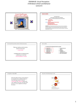 CROWN 85: Visual Perception: a Window to Brain and Behavior Lecture 6