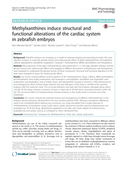 Methylxanthines Induce Structural and Functional Alterations of the Cardiac