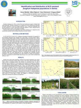 Identification and Distribution of ALS Resistant Sorghum Halepense Populations in Serbia