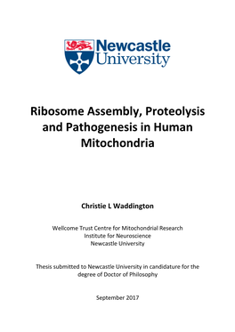 Ribosome Assembly, Proteolysis and Pathogenesis in Human Mitochondria