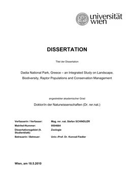 Dissertation