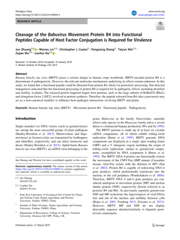 Cleavage of the Babuvirus Movement Protein B4 Into Functional Peptides Capable of Host Factor Conjugation Is Required for Virulence