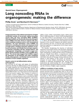 Long Noncoding Rnas in Organogenesis