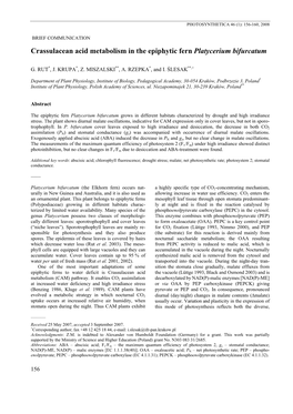 Crassulacean Acid Metabolism in the Epiphytic Fern Patycerium Bifurcatum