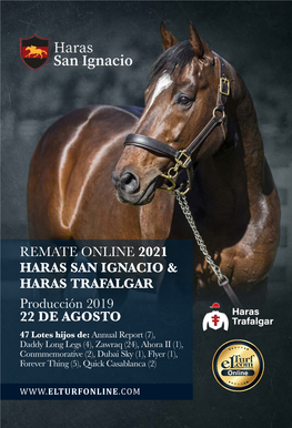 REMATE ONLINE 2021 HARAS SAN IGNACIO & HARAS TRAFALGAR Producción 2019 22 DE AGOSTO