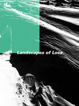 Landscapes of Loss Landscapes of Loss