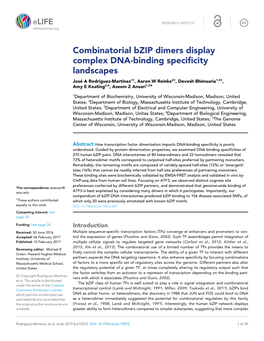 Combinatorial Bzip Dimers Display Complex DNA-Binding Specificity