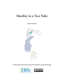 Motility in a Test Tube