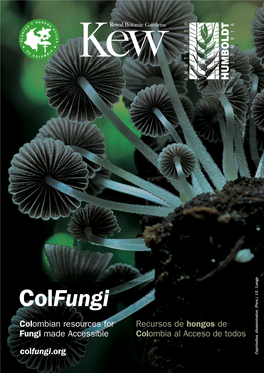 Colfungi (Pers.) J.E