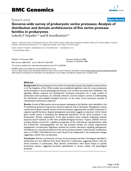 Genome-Wide Survey of Prokaryotic Serine Proteases: Analysis Of