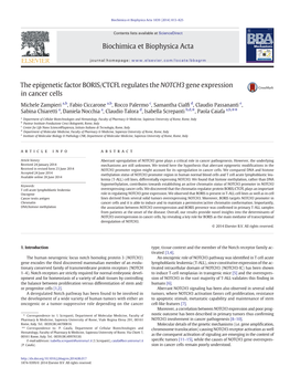 The Epigenetic Factor BORIS/CTCFL Regulates the NOTCH3 Gene Expression in Cancer Cells