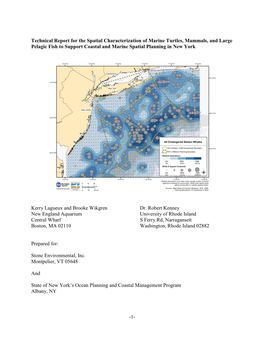 1- Technical Report for the Spatial