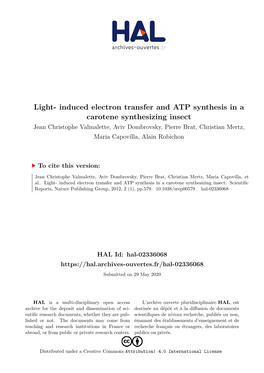 Light- Induced Electron Transfer and ATP Synthesis in a Carotene Synthesizing Insect