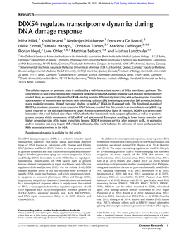 DDX54 Regulates Transcriptome Dynamics During DNA Damage Response