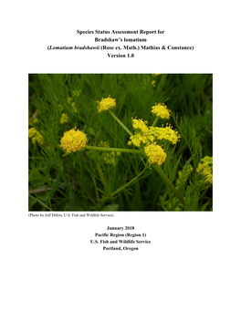 Species Status Assessment Report for Bradshaw's Lomatium (Lomatium