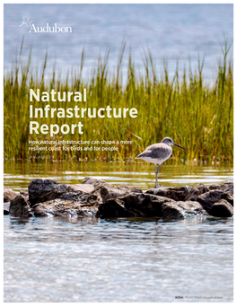 Natural Infrastructure Report How Natural Infrastructure Can Shape a More Resilient Coast for Birds and for People JANUARY 2018