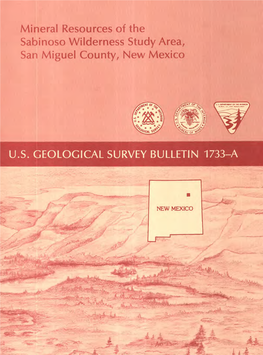 Mineral Resources of the Sabinoso Wilderness Study Area, San Miguel County, New Mexico