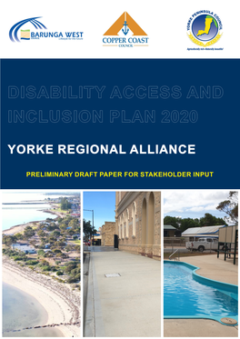 Disability Access and Inclusion Plan 2020