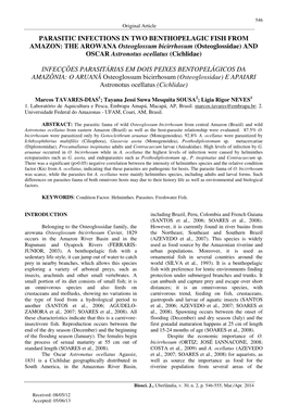 PARASITIC INFECTIONS in TWO BENTHOPELAGIC FISH from AMAZON: the AROWANA Osteoglossum Bicirrhosum (Osteoglossidae) and OSCAR Astronotus Ocellatus (Cichlidae)