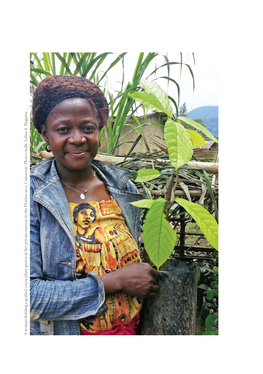 A Woman Holding a Grafted Cocoa Plant Grown in Her Private Nursery in the Efoulan Area, Cameroon. Photo Credit: Lalisa A