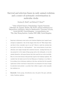 Survival and Selection Biases in Early Animal Evolution and a Source of Systematic Overestimation in Molecular Clocks