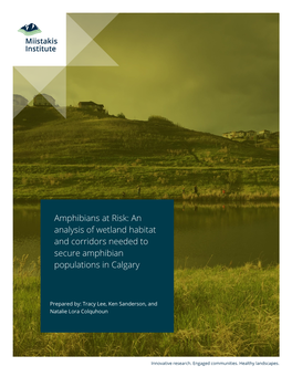 Amphibians at Risk: an Analysis of Wetland Habitat and Corridors Needed to Secure Amphibian Populations in Calgary