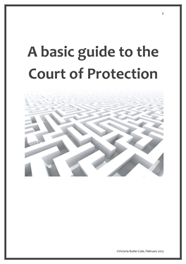 A Basic Guide to the Court of Protection