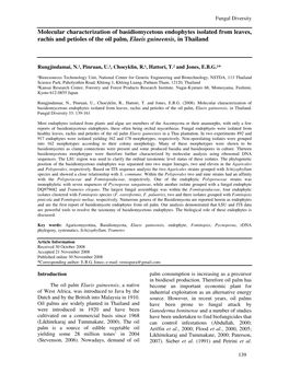 Molecular Characterization of Basidiomycetous Endophytes Isolated from Leaves, Rachis and Petioles of the Oil Palm, Elaeis Guineensis, in Thailand