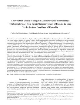 A New Catfish Species of the Genus Trichomycterus