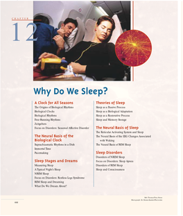 Why Do We Sleep?