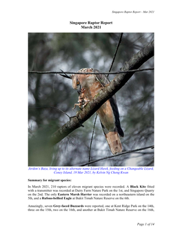 Singapore Raptor Report – Mar 2021