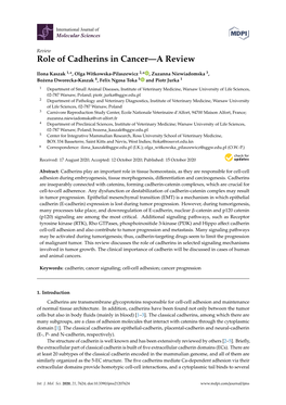 Role of Cadherins in Cancer—A Review