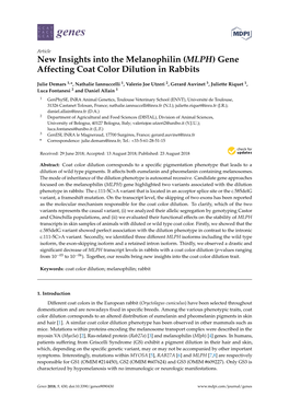 New Insights Into the Melanophilin (MLPH) Gene Affecting Coat Color Dilution in Rabbits