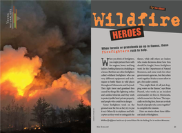 Wildfire Heroes R