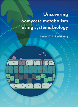 Genome-Wide Characterization of Phytophthora Infestans 47 Metabolism: a Systems Biology Approach