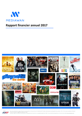 Rapport Financier Annuel 2017