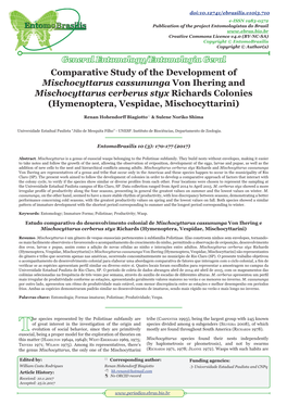 Comparative Study of the Development of Mischocyttarus Cassununga Von Ihering and Mischocyttarus Cerberus Styx Richards Colonies