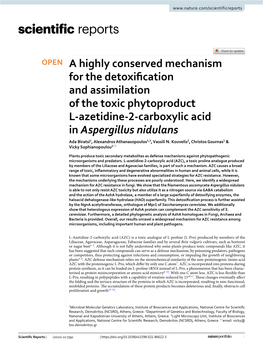 A Highly Conserved Mechanism for the Detoxification and Assimilation Of