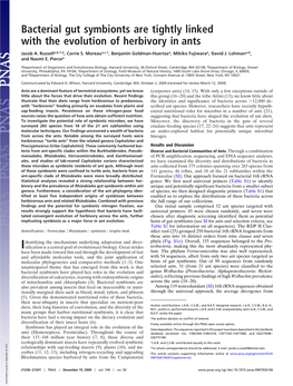 Bacterial Gut Symbionts Are Tightly Linked with the Evolution of Herbivory in Ants