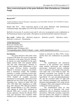 Three Resurrected Species of the Genus Bulbothrix Hale (Parmeliaceae, Lichenized Fungi)