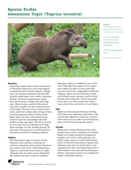 Species Profile Amazonian Tapir (Taprius Terestris)